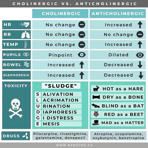 Antiviral Pharmacology, Vet Pharmacology, Antipsychotics Pharmacology, Emt Basic Pharmacology, Ems Pharmacology, Paramedic Pharmacology, Pharmacology Paramedic, Pharmacology Mnemonics Cns, Antihistamine Pharmacology