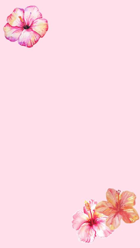 Beachy pink iPhone wallpaper, hibiscus flower collage Wallpaper Hibiscus Flower, Hibiscus Flower Wallpaper, Cute Summer Wallpaper, Hibiscus Wallpaper, Pink Iphone Wallpaper, Cute Summer Wallpapers, Paper Toys Template, Flower Collage, Pink Hibiscus