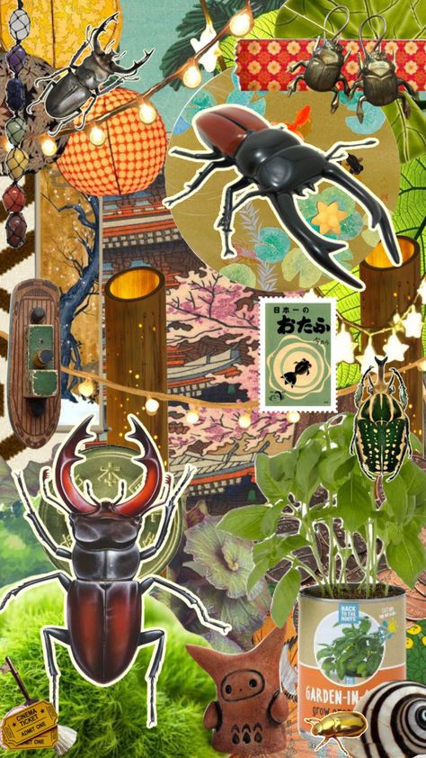 Tribute to the stag beetle #beetle #bug #nature #trinkets #clutter #greenacademia Stag Beetle Wallpaper, Stag Beetle Aesthetic, Insect Wallpaper Iphone, Bug Wallpaper Aesthetic, Cluttered Wallpaper, Beetle Background, Nature Trinkets, Bug Moodboard, Cluttered Art