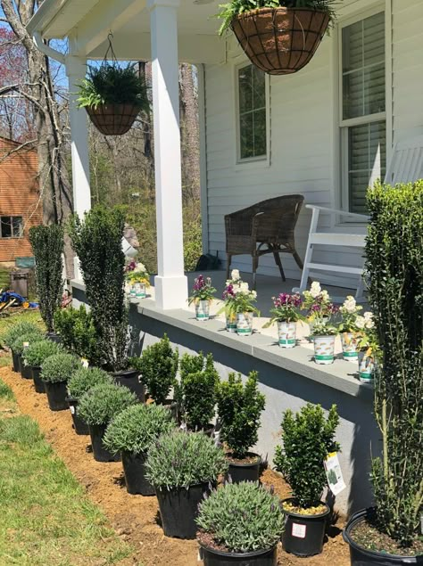 Farmhouse Front Sidewalk, Farmhouse Outdoor Landscape, Ranch Style Home Landscaping Front Yards, Southern Curb Appeal, Ranch Style Front Yard Landscaping Ideas, Cottage Curb Appeal Landscaping, Exterior Planters Curb Appeal, Open Porch Landscaping, Mulch Landscaping Ideas Front Yard House