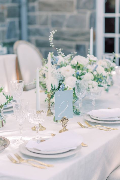 Unique Ceremony Chair Set Up, Sky Blue Wedding Reception, White Table With Gold Chairs, Wedding Decorations Light Blue, Something Blue Wedding Flowers, Blue And White Classic Wedding, Marian Blue Wedding, French Blue Table Setting, Blue White Green Tablescape