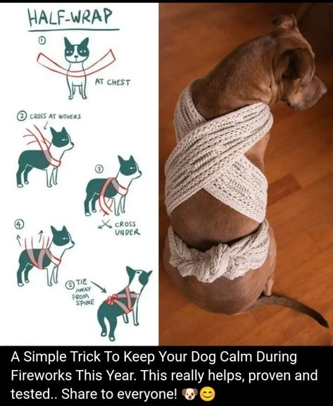 Meds For Dogs, Dog Remedies, Dog Wrap, Calm Dogs, Dog Ideas, Dog Hacks, Dog Info, Pet Hacks, E Card