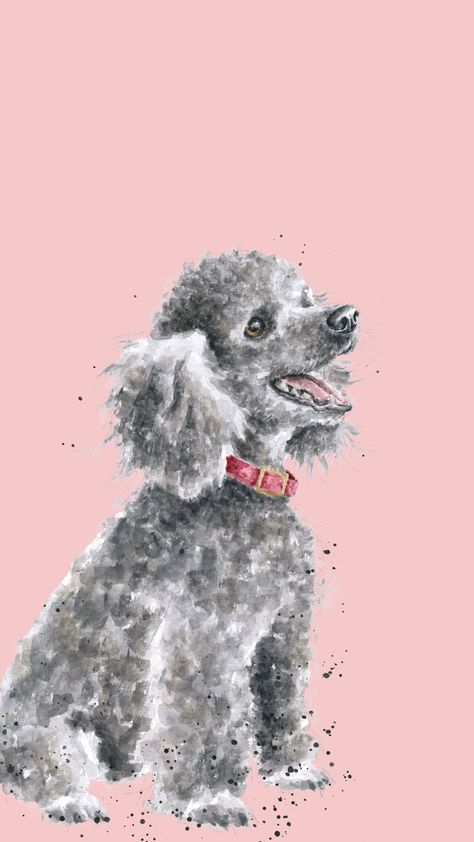 Poodle Phone Wallpaper by Wrendale Designs Poodle Drawing Reference, Cute Poodle Wallpaper, Toy Poodle Illustration, Poodle Drawings, Poodle Wallpaper, Puddle Dog, Poodle Clipart, Poodle Painting, Poodle Illustration