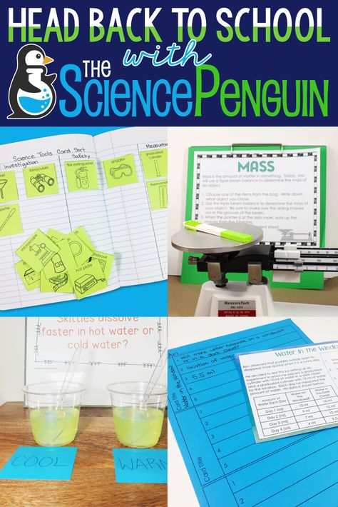 Back to School 2017 with The Science Penguin Back To School Science Activities, Back To School Science, Simple Mountain Tattoo, The Science Penguin, Science Penguin, Fourth Grade Science, Science Stations, Middle School Science Experiments, General Science