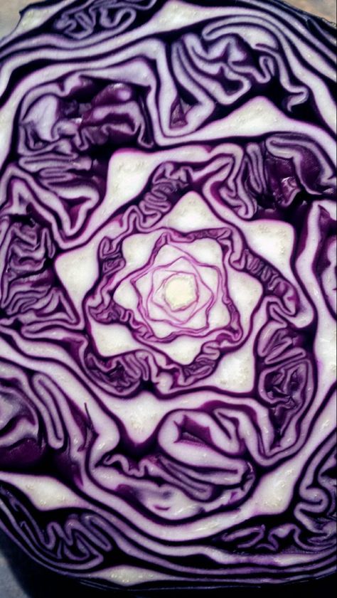 Mind Blowing Pictures, Close Up Art, Foto Macro, Geometry In Nature, Pattern Photography, Purple Cabbage, Elements And Principles, Texture Inspiration, Tech Art