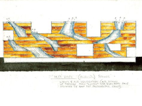 Simmons Hall at MIT: By Steven Holl. Steven Holl Architecture, Steven Hall, Interactive Spaces, Cafe Street, Night Cafe, Section Drawing, Dining Interior, Steven Holl, Tadao Ando