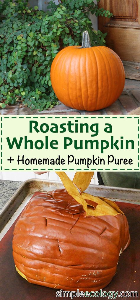 Homemade Fall baking recipes, Zero Waste Aesthetic Fall Decor, Cooking Roasting Baking a Whole Pumpkin, Pumpkin Puree Sugar Pie, Jack O Lantern Cinderella Kabocha, Easy Delicious Vegan Vegetarian Recipes, Beginner Friendly Cooking, Pumpkin Pie Muffin Bread Dessert Pumpkin Roasted Recipes, Whole Roasted Pumpkin, Baking A Pumpkin In The Oven, Baking A Pumpkin, Whole Pumpkin Recipes Baking, How To Use Fresh Pumpkin, Pumpkin Pulp Recipes, Cooking A Pumpkin, How To Bake Whole Pumpkin