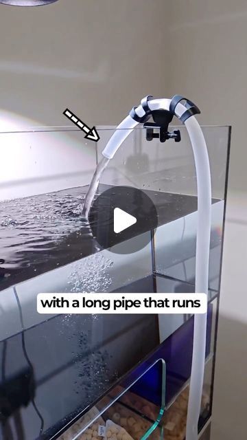 Fishtopia on Instagram: "Fill up your tank with this easy hack! 👍 #fish #petfish #fishtank #aquarist #aquarium" Idee Deco Aquarium, Diy 20 Gallon Aquarium Stand, Diy Aquarium Light Stand, Fish Tank Cleaning Hacks, Tank Cleaning Fish, Diy Canister Filter Aquarium, Diy Aquarium Stand, Fish Tank Cleaning, Fish Tank Stand