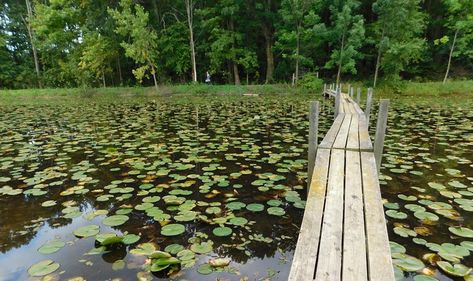 From rugged cliffs with sweeping views to waterfront trails that look straight out of a painting, the following are 10 of our favorite hiking trails. Ohio Hiking, Vacay Ideas, Hiking Places, Cuyahoga Valley National Park, Ohio Travel, Hocking Hills, Cascade Waterfall, Awesome Places, Nature Preserve