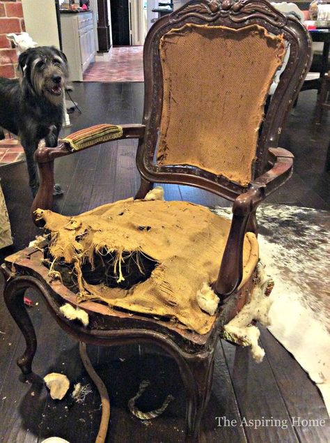 5 Steps to Reupholstering A Chair (A great DIY for anybody with an old chair in their basement or attic) Chair Crafts, Reupholster Chair Diy, Reupholstering Furniture, Furniture Repurposing, Upcycle Chair, Furniture Reupholstery, Reupholster Chair, Reupholster Furniture, Upholstery Diy