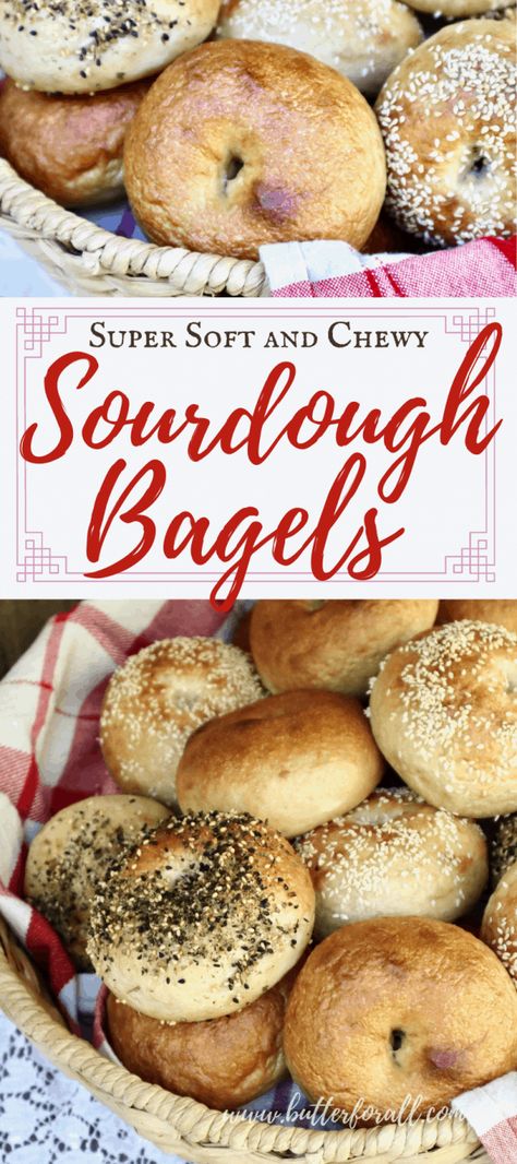 Discard Bagels, Fermented Recipes, Whole Wheat Bagel, Bagels Recipe, Sourdough Bagels, Bagel Toppings, Whole Wheat Sourdough, Traditional Cooking, Real Bread