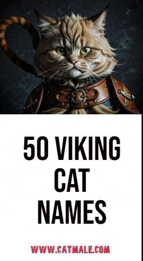 50 Viking Cat Names: Unleash the Norse Spirit in Your Feline Friend Norse Mythology Names, Kitten Names Boy, Nordic Names, Catio Plans, Boy Cat Names, Girl Cat Names, Norse Names, Viking Names, Unique Cat Names