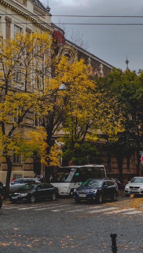 Autumn · aesthetic · Lviv · Ukraine · city · leaves · road Ukraine Aesthetic, Autumn City, Autumn Street, Ukraine Cities, Street Aesthetic, Aesthetic Content, Lviv Ukraine, Winter Scenery, Simple Wallpapers