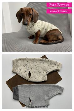 Dog Jumper Knitting Pattern, Dachshund Dog Sweaters, Knitting Patterns For Dogs, Sweater Free Knitting Pattern, Knitted Dog Sweater Pattern, Knitting Patterns Free Dog, Dog Coat Pattern, Dog Sweater Crochet Pattern, Dog Sweater Pattern