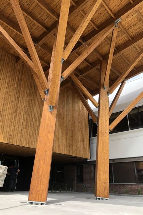 This impressive canopy over the school’s main entrance features an asymmetric glued-laminated timber structure. The biophilic architectural design reflects the natural shape of trees. Tree Structure Architecture Detail, Tree Structure Architecture, Wooden Structure Architecture, Timber Structure Architecture, Timber Column, Architecture Journal, Wood Truss, Tree Structure, Timber Posts