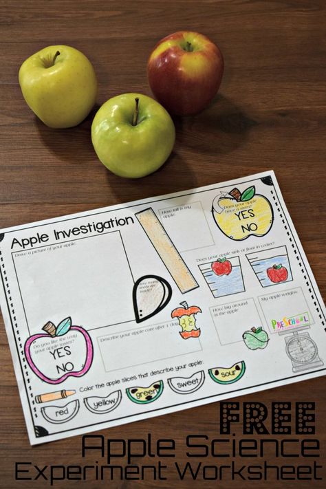 FREE Apple Science Experiment Worksheet - free science printables in this easy science experiments for preschool, prek, kindergarten, and first grade kids. This is perfect for back to school, fall, and September! #preschool #scienceisfun #apples Preschool Apple Experiments, Science With Apples, September Science Experiments, Apple Science Experiments Kindergarten, Apple Units For Kindergarten, Apple Stem Preschool, Jonny Apple Seed Activities, Apple Investigation First Grade, Science Apple Activities Preschool