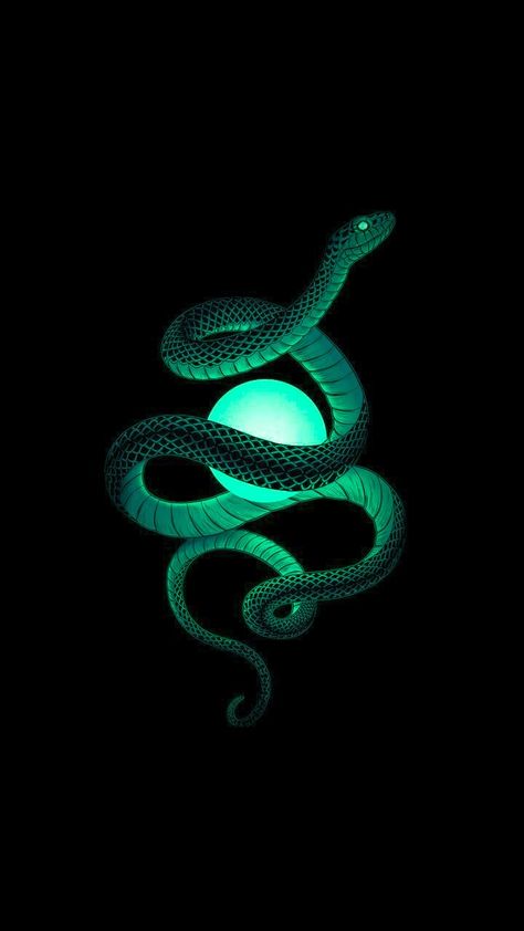 Slytherin Snake, Slytherin Wallpaper, Loki Aesthetic, Dark Green Wallpaper, Snake Wallpaper, Slytherin Pride, Desain Quilling, Iphone Wallpaper Hipster, Dark Green Aesthetic