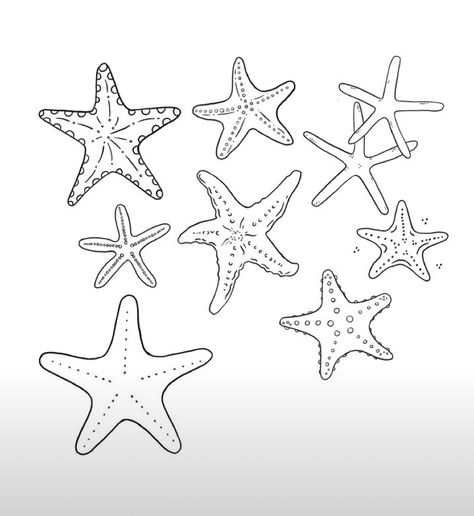 Starfish Drawing, Starfish Tattoo, Small Girly Tattoos, Summer Drawings, Ocean Tattoos, Cute Small Tattoos, Small Drawings, Girly Tattoos, Dream Tattoos