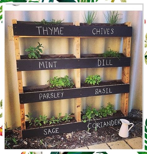 Looking to spruce up your garden? Check out these creative pallet planter ideas that will transform your outdoor space into a botanical paradise. From vertical herb gardens to colorful flower displays, these DIY projects are perfect for adding a touch of rustic charm to your backyard. Get inspired and start creating your own pallet planters today! Pallet Planter Ideas, Plants Around Pool, Pallet Planters, Vertical Herb Gardens, Pool Garage, Small Garden Layout, Vertical Garden Wall Planter, Cabinets Bedroom, Herb Garden Pallet