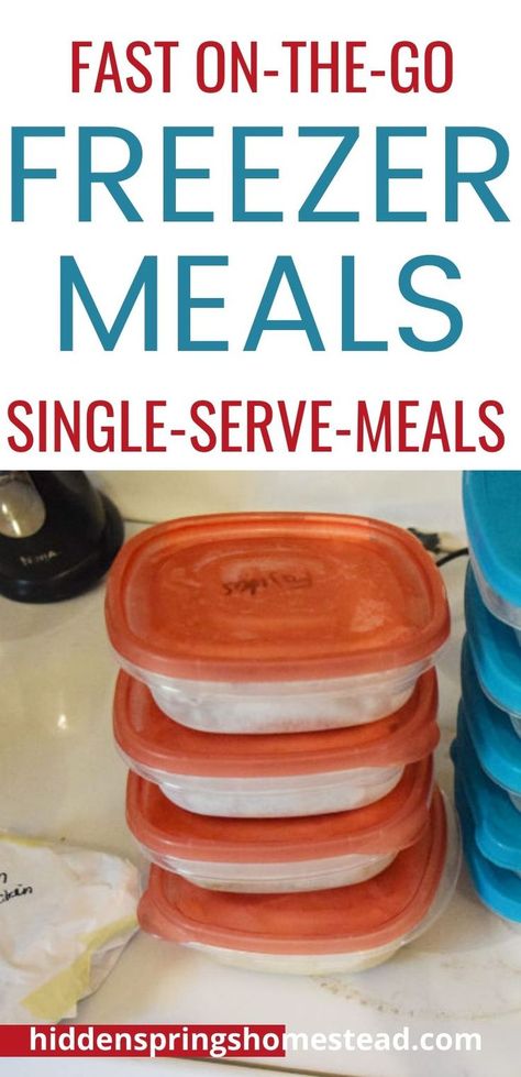 One Serving Freezer Meals, Portioned Freezer Meals, Small Freezer Meals For 2, Individual Serving Freezer Meals, Easy Single Serve Freezer Meals, Frozen Individual Meals, Single Serving Frozen Meals, Single Freezer Meals Cooking For One, Individual Portion Freezer Meals