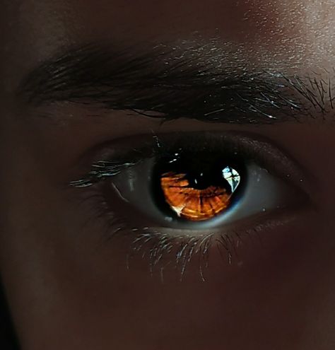 Brown Eyes Digital Art, Eyes Aethstetic, Fire Eyes Aesthetic, Amber Eyes Men, Bright Brown Eyes, Orange Eyes Aesthetic, Golden Eyes Aesthetic, Pretty Brown Eyes Aesthetic, Russet Brown Eyes