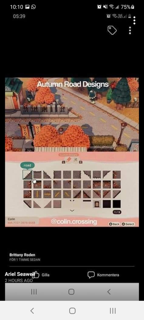 Acnh Colin Crossing Codes, Colin Crossing Codes, Collins Crossing, Colin Crossing, Acnh Halloween, Crystal Cove, Road Design, Fall 2023, Animal Crossing