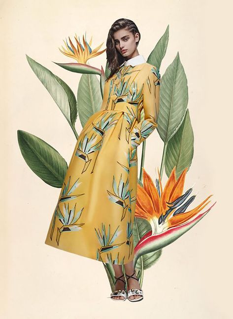 Tones of the Tropics – 4 Colour Ways to Transport your Wedding Botanical Fashion, Miss Moss, Botanical Illustration Vintage, Retro Mode, Fashion Collage, Foto Vintage, Bird Of Paradise, Foto Inspiration, Vintage Botanical