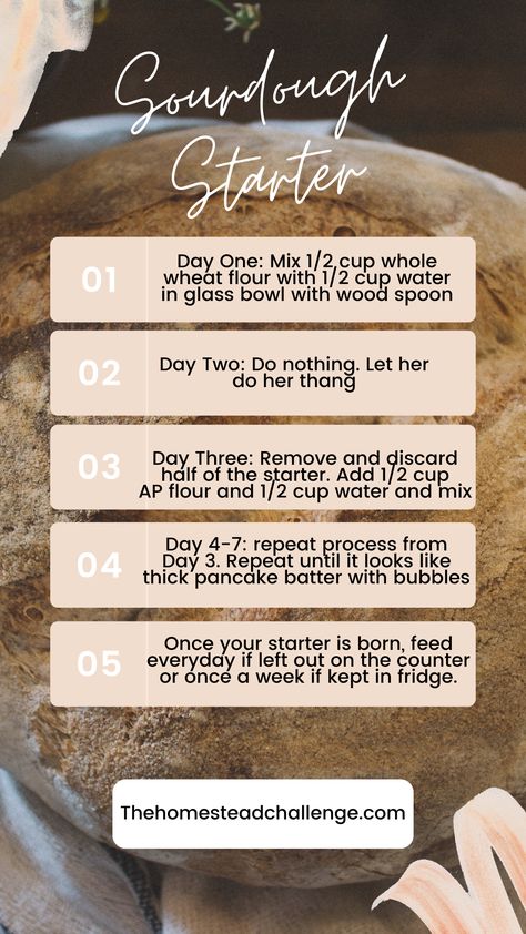 Sourdough Starter for Rookies Like Me How To Know When Sourdough Starter Is Ready To Use, Sourdough Basics, Feeding My Sourdough Starter, Day 2 Sourdough Starter, Sourdough Starter Timeline, Sourdough Starter Guide, Sourdough Conversion Chart, Start A Sourdough Starter, How To Create A Sourdough Starter