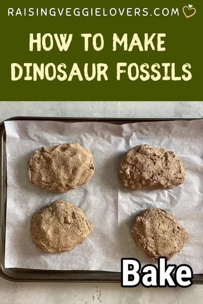 How To Make Fossils, Diy Dinosaur Fossils, Dinosaur Fossil Activity, Herbavor Dinosaurs, Diy Fossils For Kids, Paleontology Activities For Kids, Dinosaur Fossil Craft, Fossil Activities, Fossil Activity