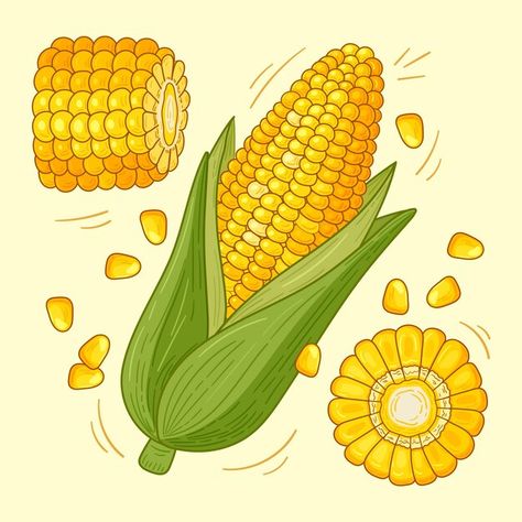 Corn On The Cob Drawing, Corn Drawing, Technology Icon, Corn On The Cob, Background Remover, Poster Invitation, Vector Hand, Presentation Template Free, Game Ui