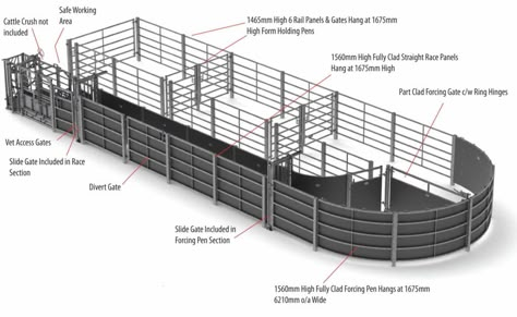 Fixed Cattle Handling Systems Cattle Working Pens, Cattle Pens, Cattle Facility, Cattle Corrals, Pen Designs, Livestock Barn, Cattle Barn, Hay Racks, Raising Cattle