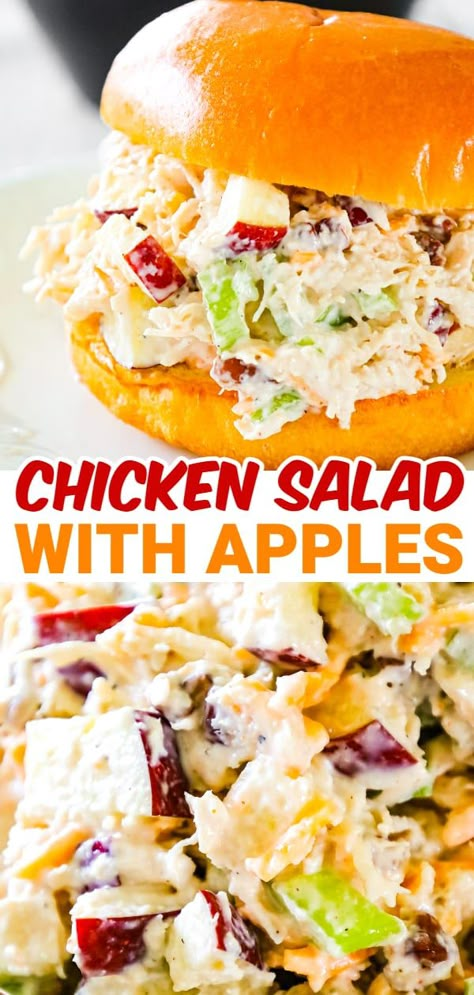 Chicken Salad with Apples is tasty lunch or dinner recipe using shredded rotisserie chicken and loaded with mayo, celery, diced apples, pecans and shredded cheddar. Chicken Salad Made With Rotisserie Chicken, Roterssie Chicken Salad Recipes, Salad With Lunch Meat, Chicken Salad Sandwich With Apples, Apple Chicken Salad Sandwich, Loaded Chicken Salad Recipe, Apple Chicken Sandwich, Chicken Salad With Apples And Celery, Best Rotisserie Chicken Salad Recipe