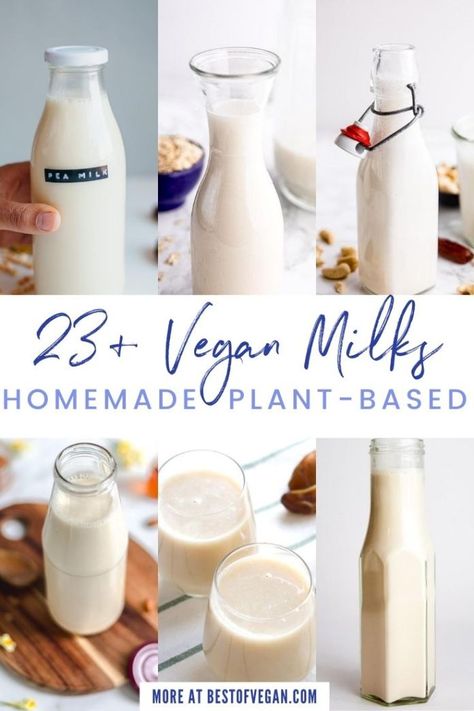 23+ Homemade Vegan Milks for World Plant Milk Day  - Best of Vegan Nut Milk Recipe, How To Become Vegan, Tropical Food, Plant Milk, Vegan Milk, Mushroom Coffee, Vegetarian Recipe, Plant Based Milk, Nut Milk