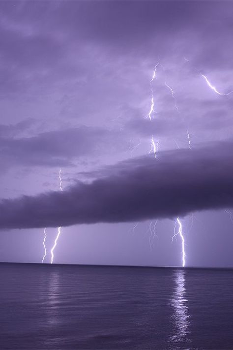 Darwin Nt, Lightning Photos, Lighting Storms, Lightning Photography, Northern Territory Australia, Wild Weather, Thunder And Lightning, Lightning Storm, Lightning Strikes