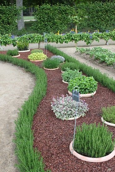 30 Herb Garden Ideas To Spice Up Your Life - Garden Lovers Club Herb Garden Design, Inexpensive Landscaping, Different Types Of Plants, Herb Garden Planter, Courtyard Landscaping, Tanaman Indoor, Spice Garden, Jardim Diy, Plants Growing