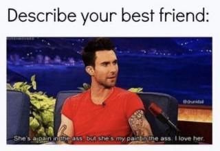 Describe Your Best Friend, Tgif Funny, Light Fury, Best Friend Quotes Funny, Friends Quotes Funny, Best Friend Quotes, Describe Yourself, Top Tier, Woman Quotes