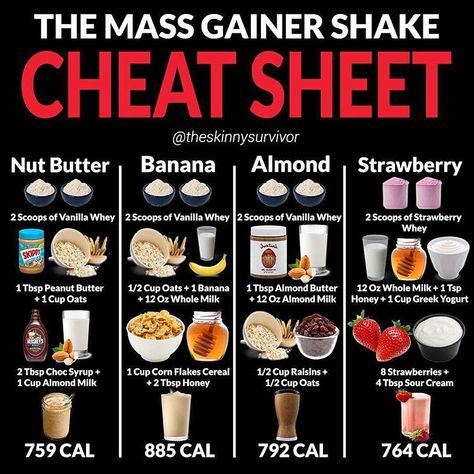 🥤 THE MASS GAINER SHAKE CHEAT SHEET by @theskinnysurvivor 🥤 - You're looking to put on size and get in more calories.🔥 - Natural mass… Mass Gainer Shake, Gainer Shake, Weight Gain Shakes, Healthy Weight Gain Foods, Food To Gain Muscle, 500 Calorie, Weight Gain Diet, Weight Gain Meals, Mass Gainer