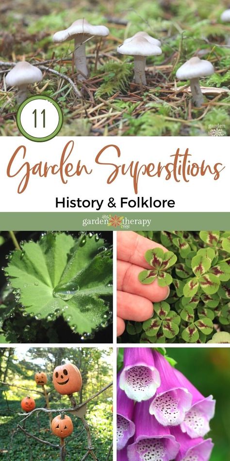 Do you share gossip with your bees and avoid stepping in fairy rings? There are many garden-related superstitious practices that go back to ancient times. Whether or not you believe in these garden superstitions, at least they are interesting and fun to read about—and hey, talking to bees can’t hurt, right? #gardentherapy #folklore #herbs #gardening Pagan Garden Ideas, Wiccan Garden Ideas, Witches Garden Aesthetic, Fairy Ring Garden, Witches Garden Plants, Witches Herb Garden, Witches Garden Ideas, Witch’s Garden, Spiritual Garden Design