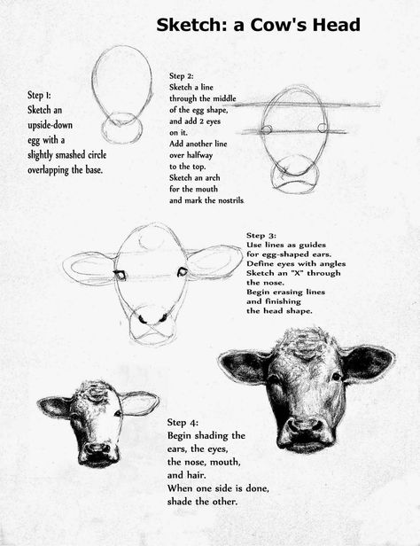 Follow these simple steps to easily sketch a cow's head Cow Drawing, Cow Face, Drawing Heads, Drawing Faces, Hur Man Målar, Cow Painting, Cow Art, A Cow, Art Instructions