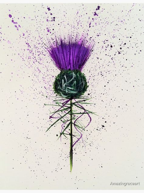 Watercolour Thistle Tattoo, Thistle Watercolor Paintings, Scottish Thistle Tattoo Watercolor, Thistle Flower Tattoo, Purple Thistle, Scottish Thistle Watercolour, Blue Thistle Watercolor, Scottish Thistle Art, Scottish Thistle Tattoo