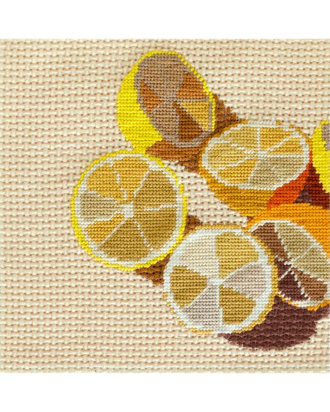 Fruit Cross Stitch, Tapestry Crafts, Continental Stitch, Cross Stitch Fonts, Tambour Embroidery, Needlepoint Tapestry, Needlepoint Stitches, Needlepoint Designs, Needlepoint Kits