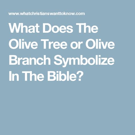 What Does The Olive Tree or Olive Branch Symbolize In The Bible? Olive Branch Meaning Bible, Olive Branch Symbolism, Olive Branch Tattoo Meaning, Olive Branch Meaning, Olive Branch Art, Olive Tree Tattoos, Olive Tattoo, Bible Meaning, Olive Branch Tattoo