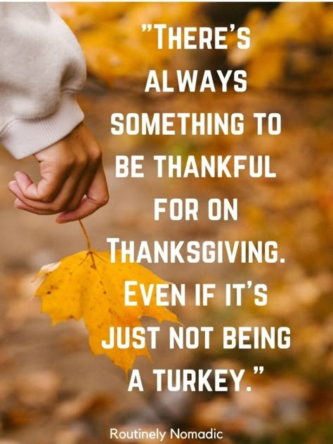 Funny Thanksgiving Quotes, Wishes and Sayings for 2021 | Routinely Nomadic Funny Thankful Quotes Humor, Happy Thanksgiving Quotes Funny, Thanksgiving Sayings Funny, Thanksgiving Funny Quotes, Tlc Videos, Funny Thanksgiving Quotes, Friendsgiving Quotes, Thanksgiving Sayings, Thanksgiving Devotions