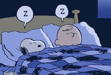 sleepy snoopy Snoopy Desktop Wallpaper Hd 1080p, Snoopy Wallpaper Desktop, Sleep Character, Sleepy Snoopy, Snoopy And Charlie Brown, Woodstock Snoopy, Snoopy Funny, Snoopy Images, Snoopy Wallpaper