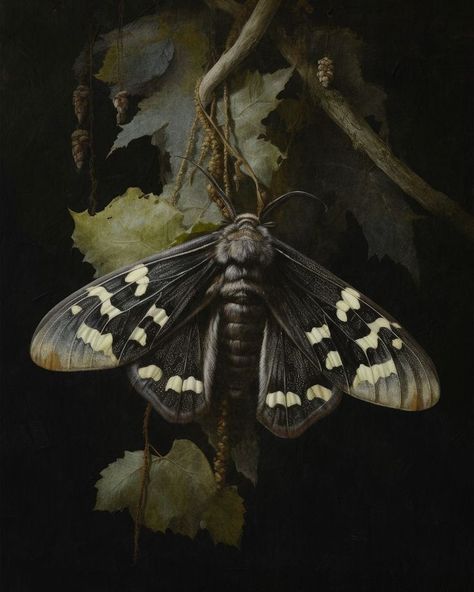 Dark Botanical Art, Dark Academia Art Painting, Dark Natural Aesthetic, Moth Aesthetic Dark, Moths Painting, Nature Night Aesthetic, Dark Vintage Painting, Dark World Aesthetic, Dark Goth Academia