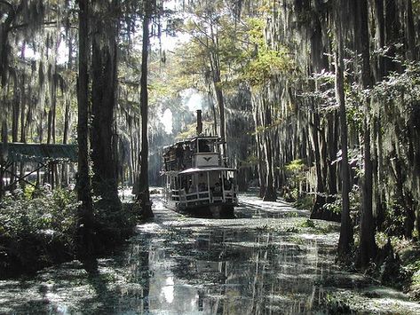 Several movies have been made here. Caddo Lake is in Texas and Louisiana.  Caddo Lake movies: ops.tamu.edu/x075bb/caddo/cadmovie.html Paddle Boats, Caddo Lake, Paddle Wheel, Louisiana Bayou, Deep South, Southern Gothic, Cypress Trees, Spanish Moss, Texas Travel