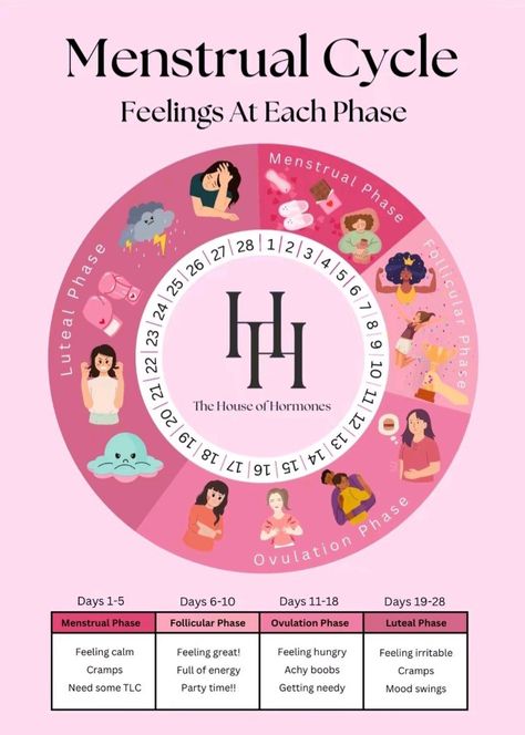 Track Your Cycle, Hormone Nutrition, Menstrual Cycle Phases, We Are Forever, The Menstrual Cycle, Healthy Hormones, Menstrual Health, Feminine Health, Community Of Women