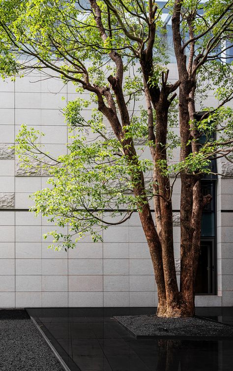 Sign Board Design, Stone Columns, Chinese Garden, Unique Hotels, Chinese Architecture, Floating In Water, Roof Garden, Living Environment, Facade Design