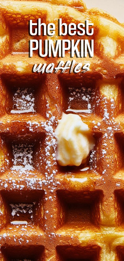 Pumpkin Waffles [35 Minutes] – Chasety Waffle Recipe Pumpkin Spice, Healthy Pumpkin Waffles Easy, Waffles For One Person, Pumpkin Waffles Healthy, Pumpkin Waffles Easy, Pumpkin Waffle Recipe, Healthy Waffle Recipe, Food Waffles, Pumpkin Waffles Recipe