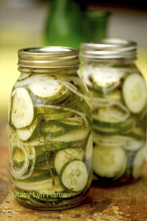 You can use either pickling or slicing cucumbers for this recipe! This is my easy go-to fast pickle recipe. It makes hamburgers very special. Quick Pickle Recipe, Refrigerator Pickles Dill, Refrigerator Pickle Recipes, How To Make Pickles, Pickled Cucumbers, Canning Pickles, Pickle Recipes, Cucumbers And Onions, Refrigerator Pickles